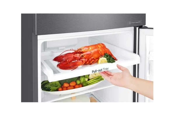 254(L) | Top Freezer Refrigerator | Smart Inverter Compressor | Moist Balance Crisper™ | Smart Diagnosis™ - GN - B272SQCB 4