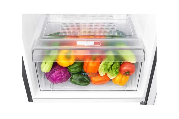 254(L) | Top Freezer Refrigerator | Smart Inverter Compressor | Moist Balance Crisper™ | Smart Diagnosis™ - GN - B272SQCB 6