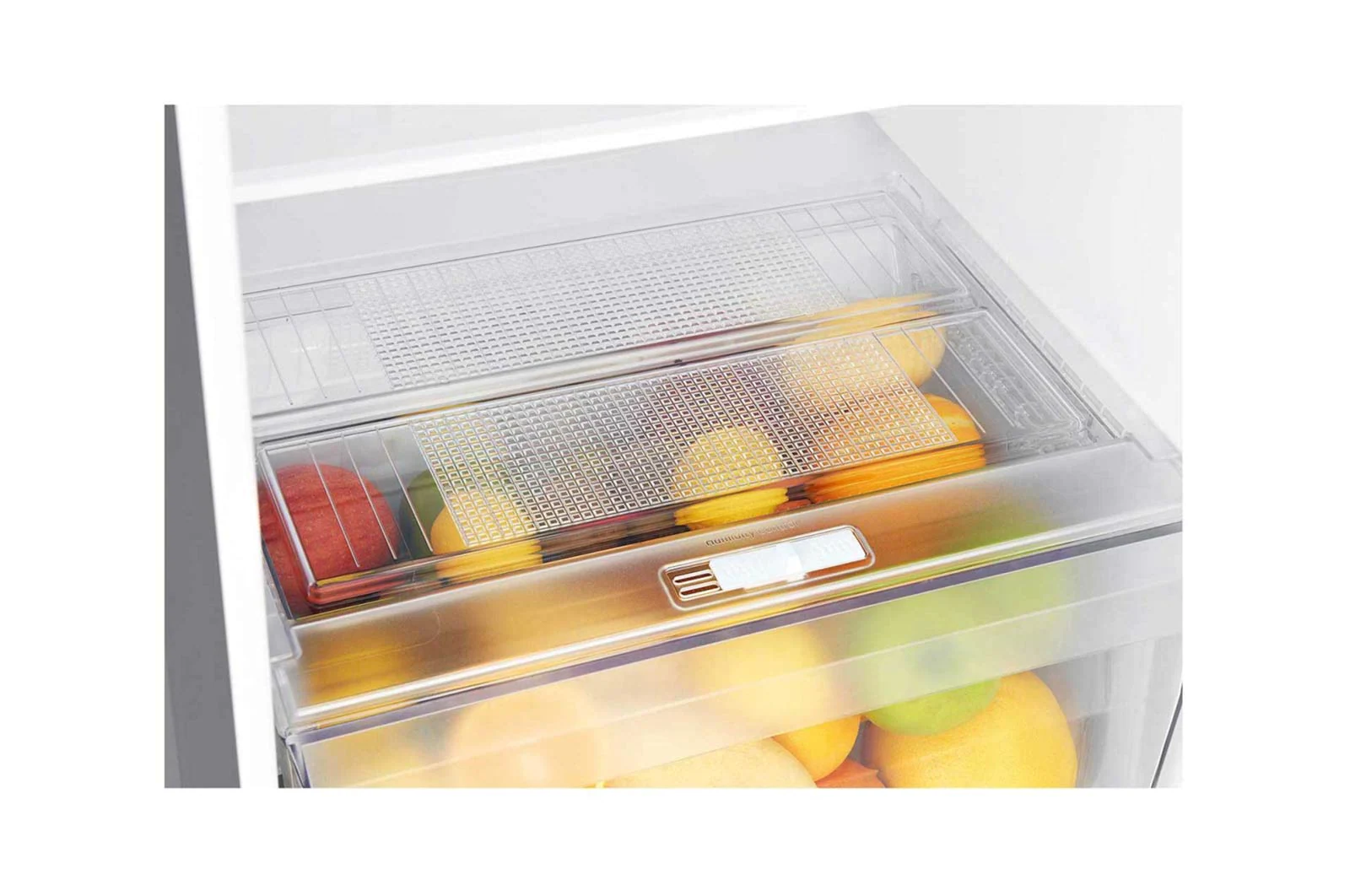 254(L) | Top Freezer Refrigerator | Smart Inverter Compressor | Moist Balance Crisper™ | Smart Diagnosis™ - GN - B272SQCB 7